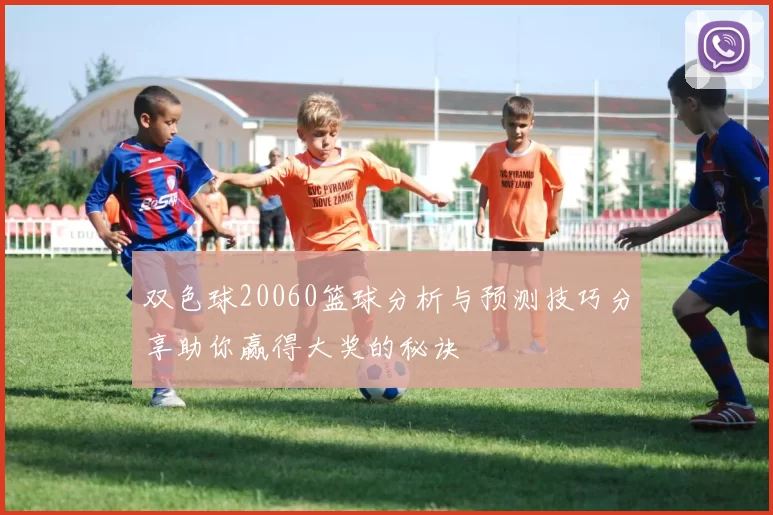 双色球20060篮球分析与预测技巧分享助你赢得大奖的秘诀