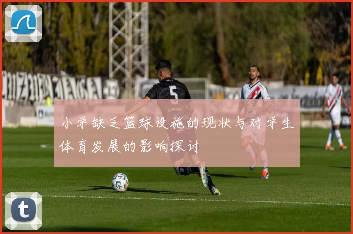 小学缺乏篮球设施的现状与对学生体育发展的影响探讨