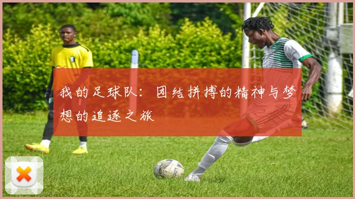 我的足球队：团结拼搏的精神与梦想的追逐之旅