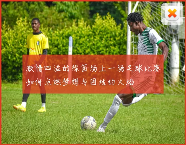 激情四溢的绿茵场上一场足球比赛如何点燃梦想与团结的火焰