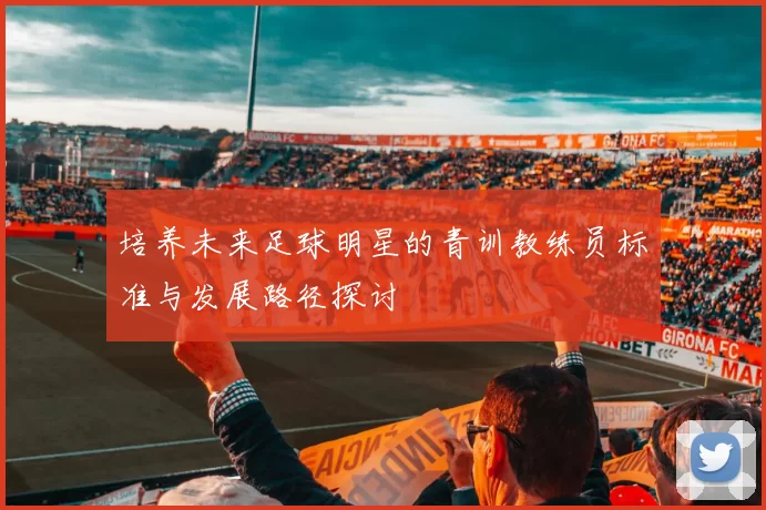 培养未来足球明星的青训教练员标准与发展路径探讨